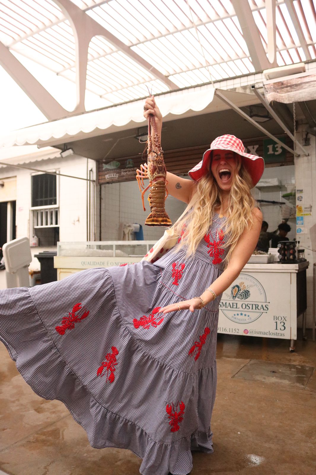 Vestido Amanda Lagosta - vichy marinho