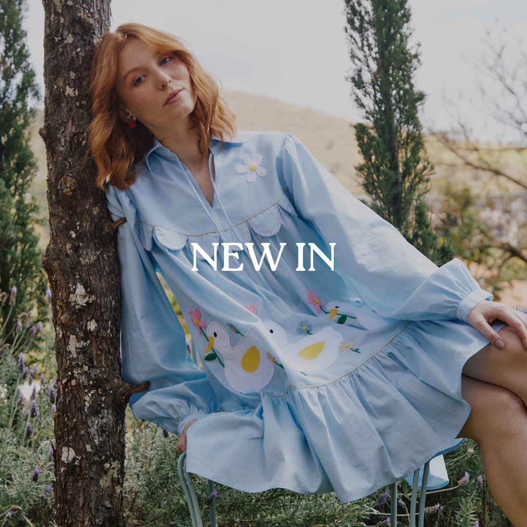 New In - vitrine