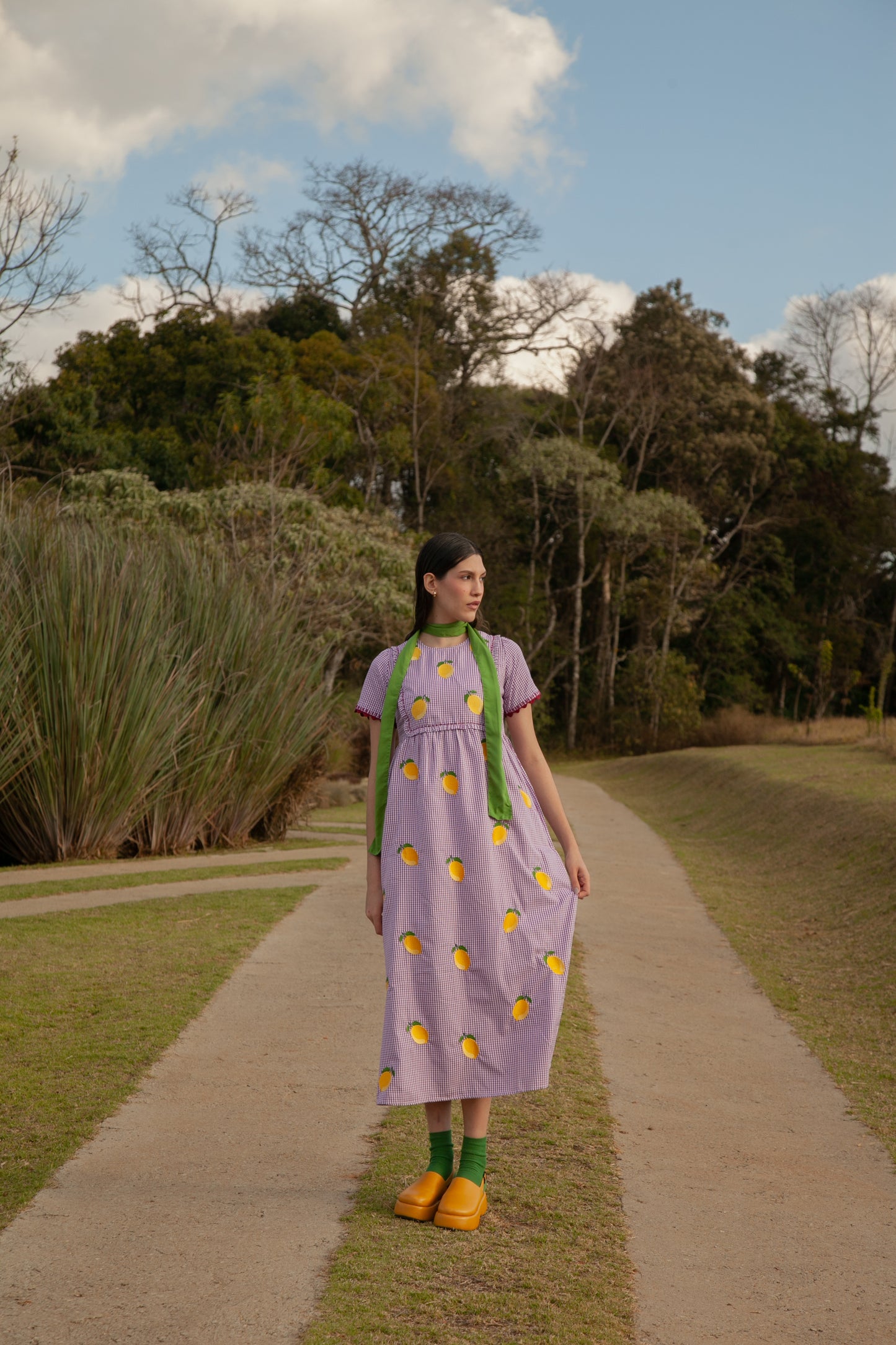 Vestido Moldura Limas - vichy roxo