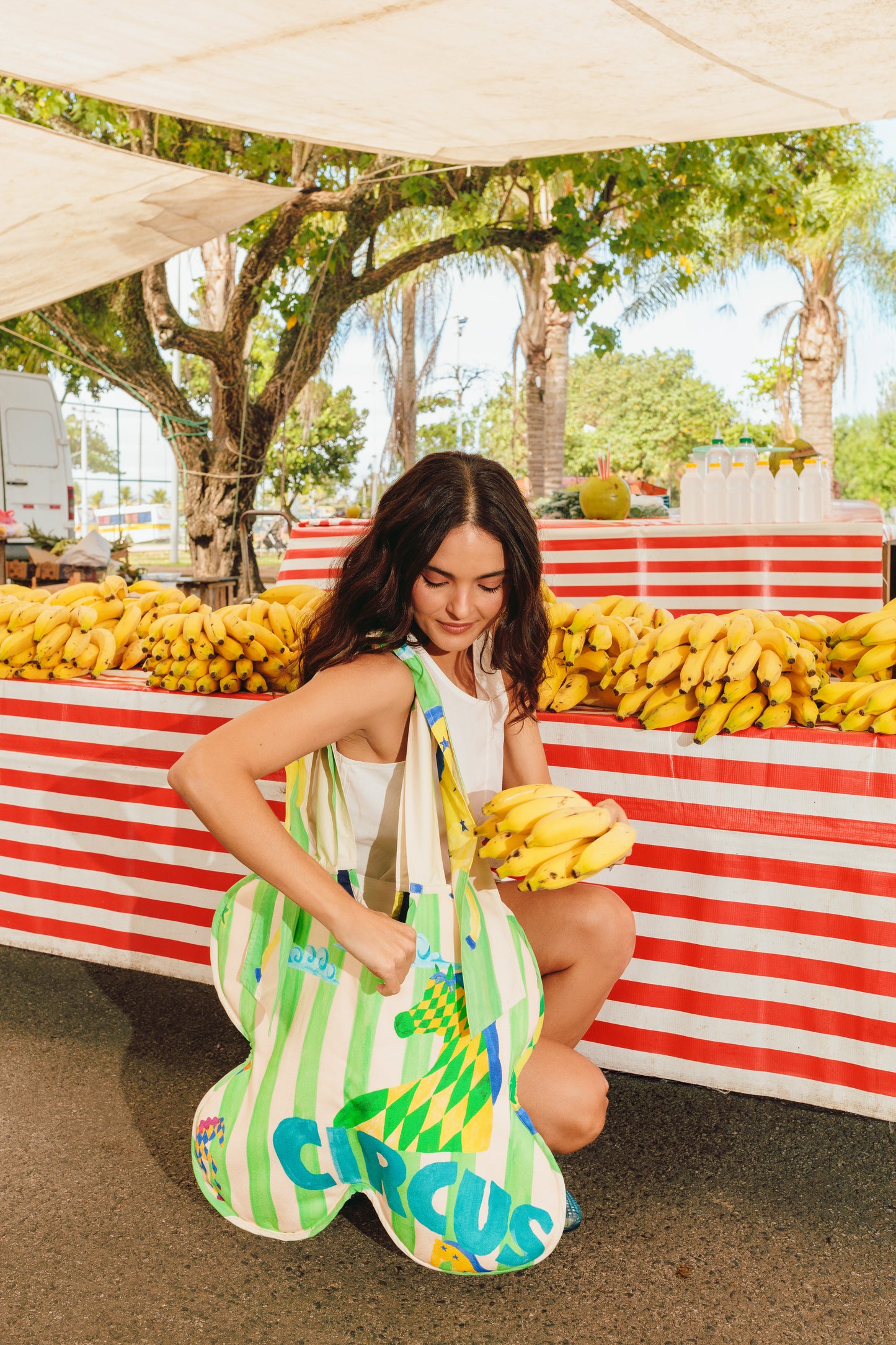 Bolsa Flor - cores variadas