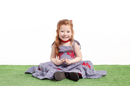 Vestido Amanda Lagosta Mini - vichy marinho